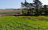 (Legacy 85) 3060 Kaipara Coast Highway