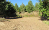 1028B McIvor Road, Rotoma