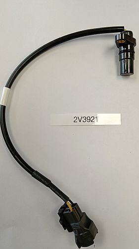 SENSOR - TRANSMISSION REVERSE