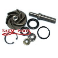 KIT, WATER PUMP REPAIR