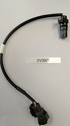SENSOR - TRANSMISSION REVERSE