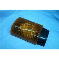 LAMP, DOOR INDICATOR FRONT LH