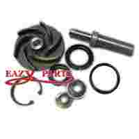 KIT, WATER PUMP REPAIR