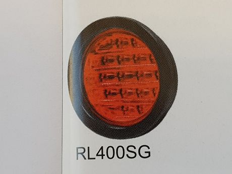 LED LAMPS  - STOP / TAIL 