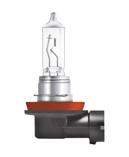 H11 Halogen Bulb 12V 55W - Plus 100%