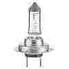 H18 Halogen Bulb 12V 65W