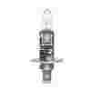 H1 Halogen Bulb 12V 55W