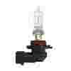 HB3 (9005) Halogen Bulb 12V 65W