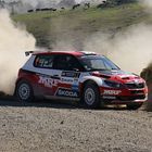 VINZ International Rally of Whangarei Makes Late Route Change
