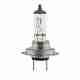 H7 Halogen Bulb 24V 70W