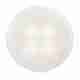LED High Intensity Round Courtesy Lamps - 12 Volt - Warm White Light