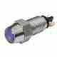 LED Pilot Lamp, Blue with Chrome Body - 12 Volt