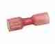 Heat Shrink Crimp Terminal - Push-On Female 6.3mm, Red - Pack of 10
