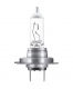 H7 Halogen Bulb 12V 55W - Plus 100%