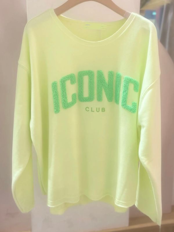 Sweater Iconic groen 