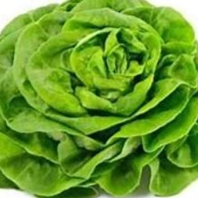 1x Buitenbeentje sla