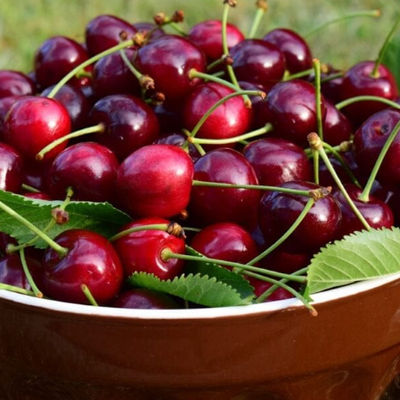 1x Vleesbrood in kriekensaus 