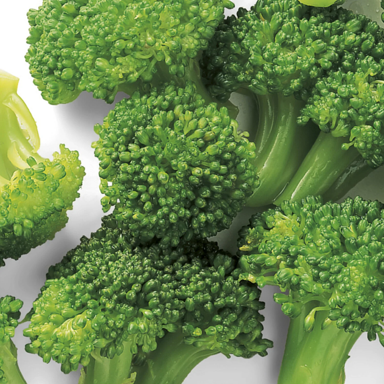 1x Broccoliroosjes, zak van 2.5 kg