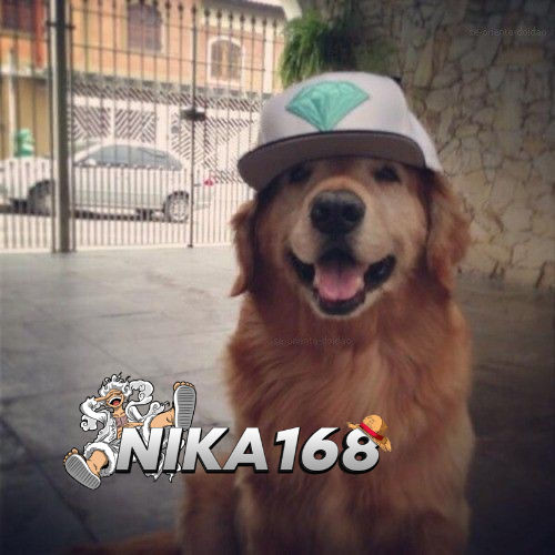 category undefined