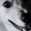 colby (#965)