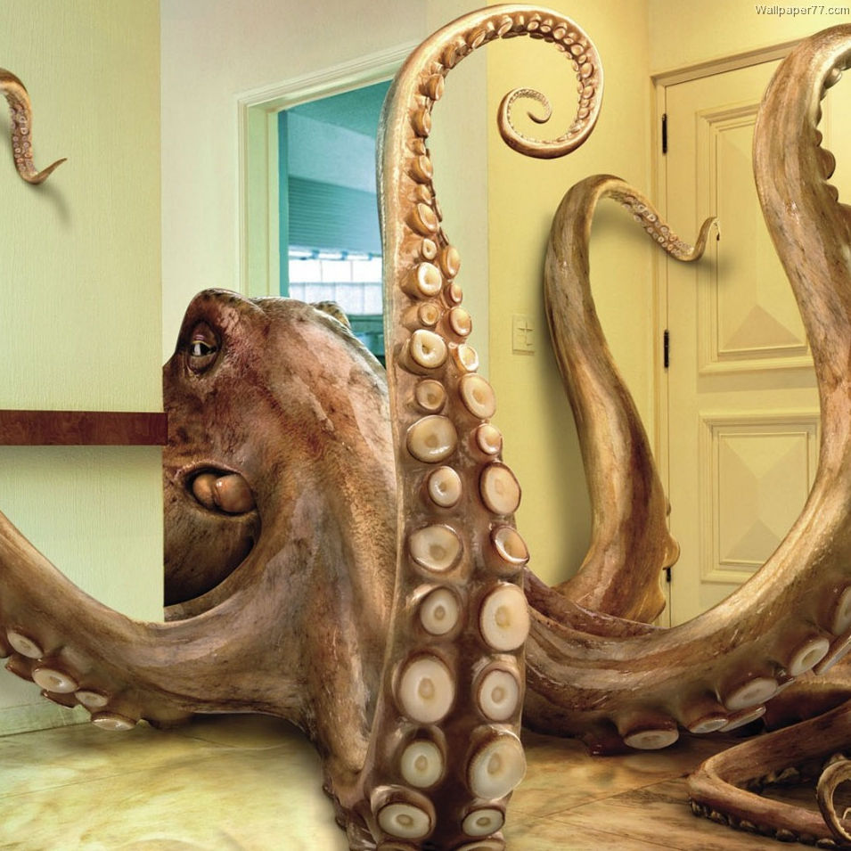 OctopusKing (#1689)
