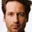 Mulder_is_a_Fox (#295)