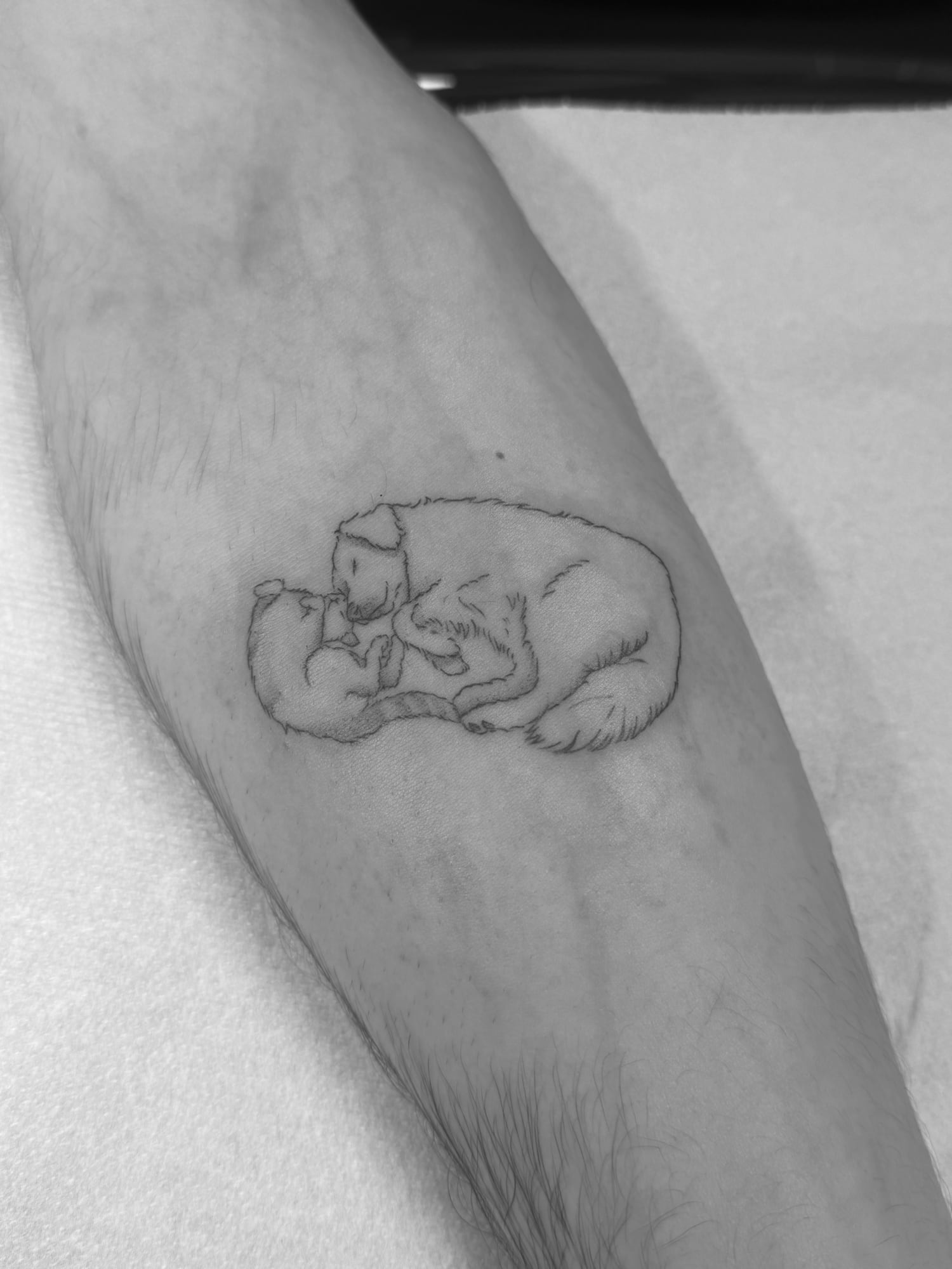 Fine line tattoo
