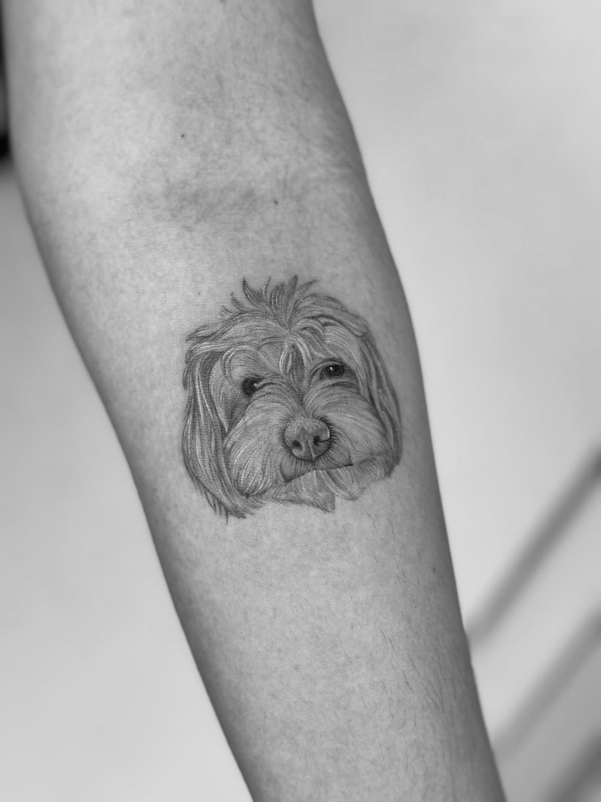 Pet portrait tattoo