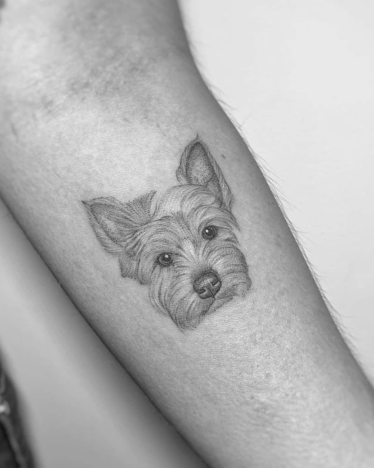 Pet portrait tattoo