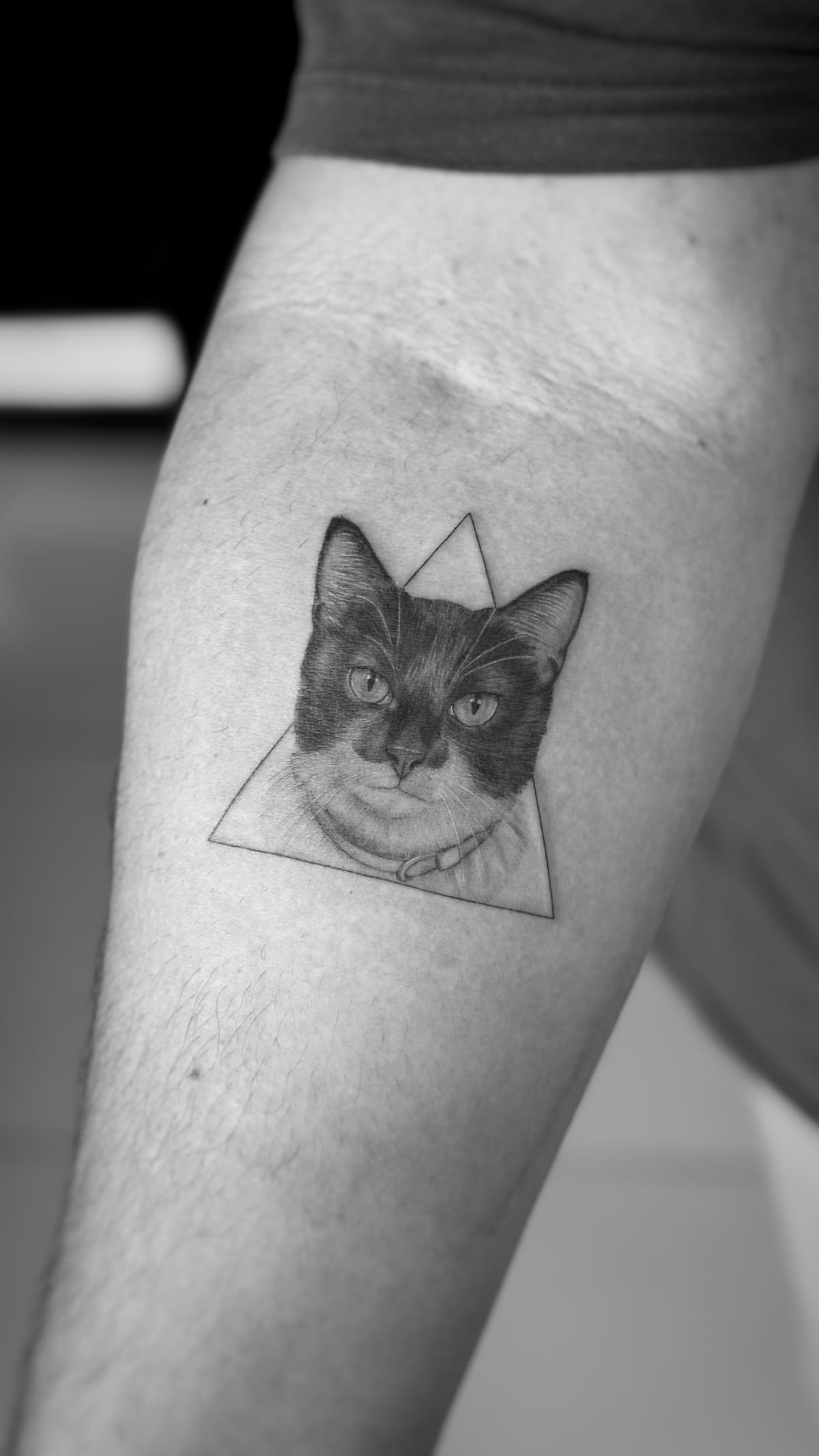 Pet portrait tattoo