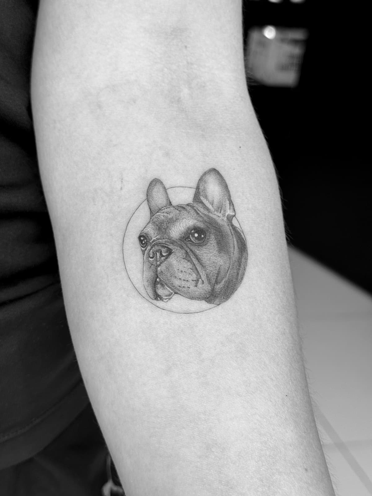 Pet portrait tattoo