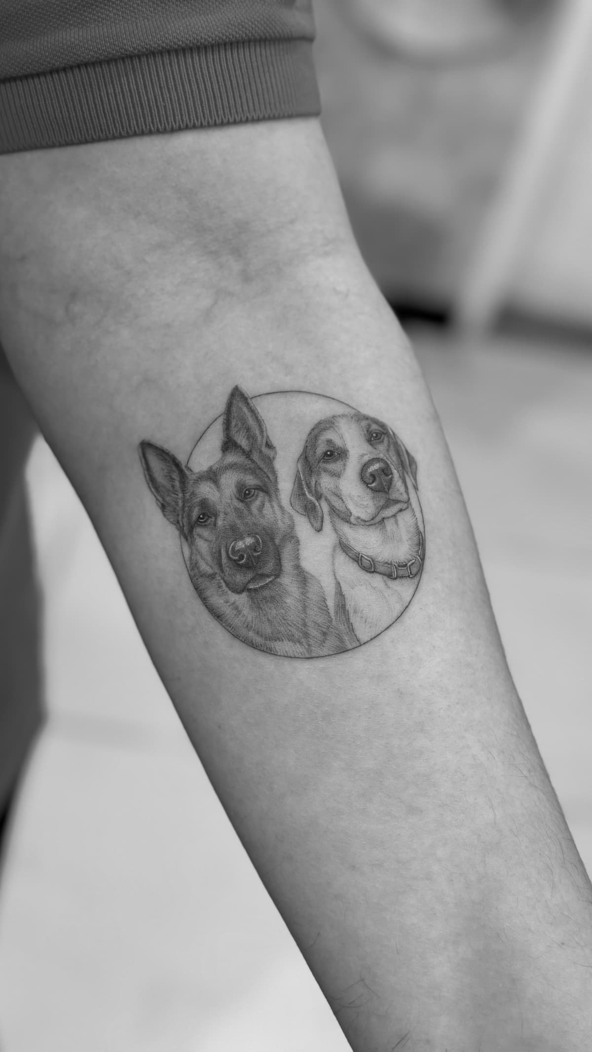 Pet portrait tattoo