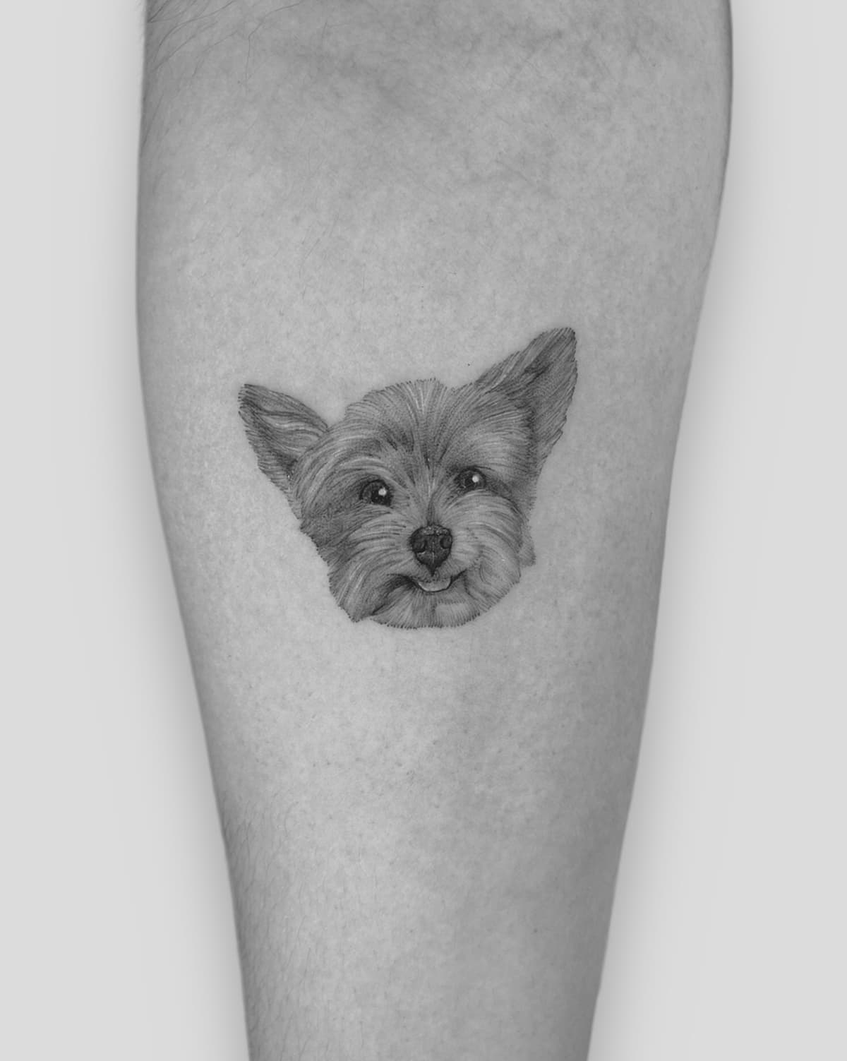 Pet portrait tattoo