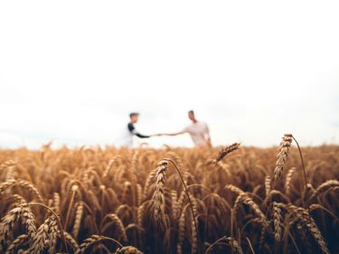 Ausbringung von Pflanzenschutzmittel in der Landwirtschaft