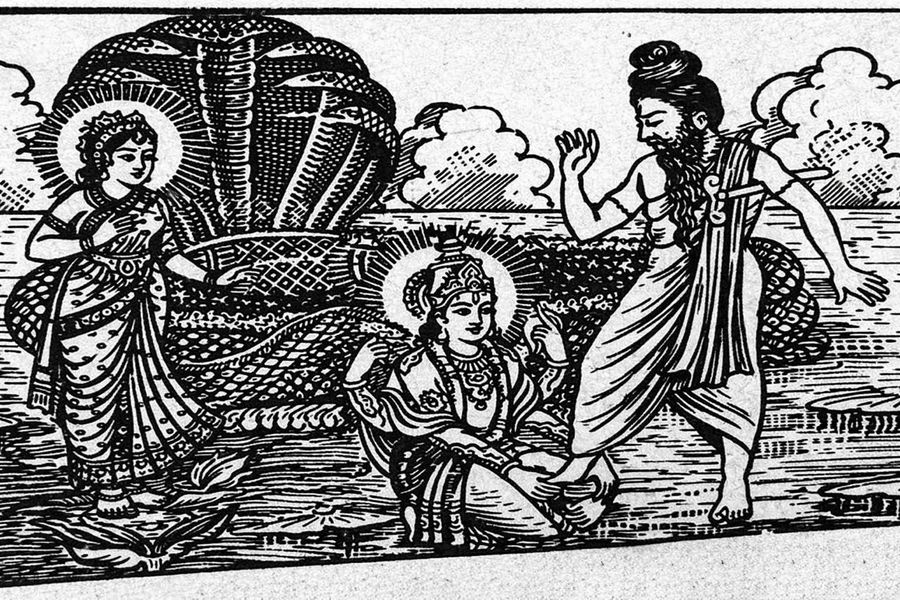 Bhrigu Kicks Lord  Sri  Vishnu on His Chest