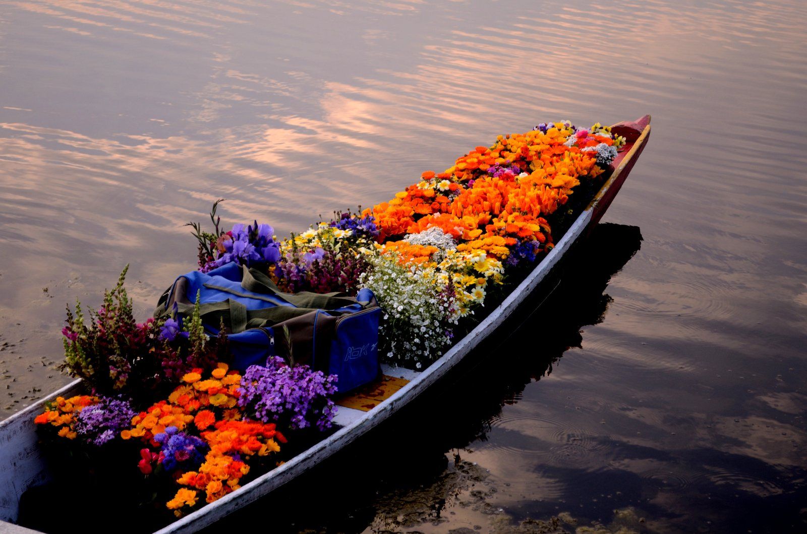 Explore Kashmir Tour Package