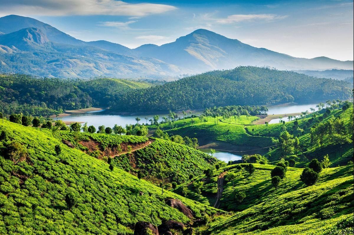 Munnar Alleppey Tour Package