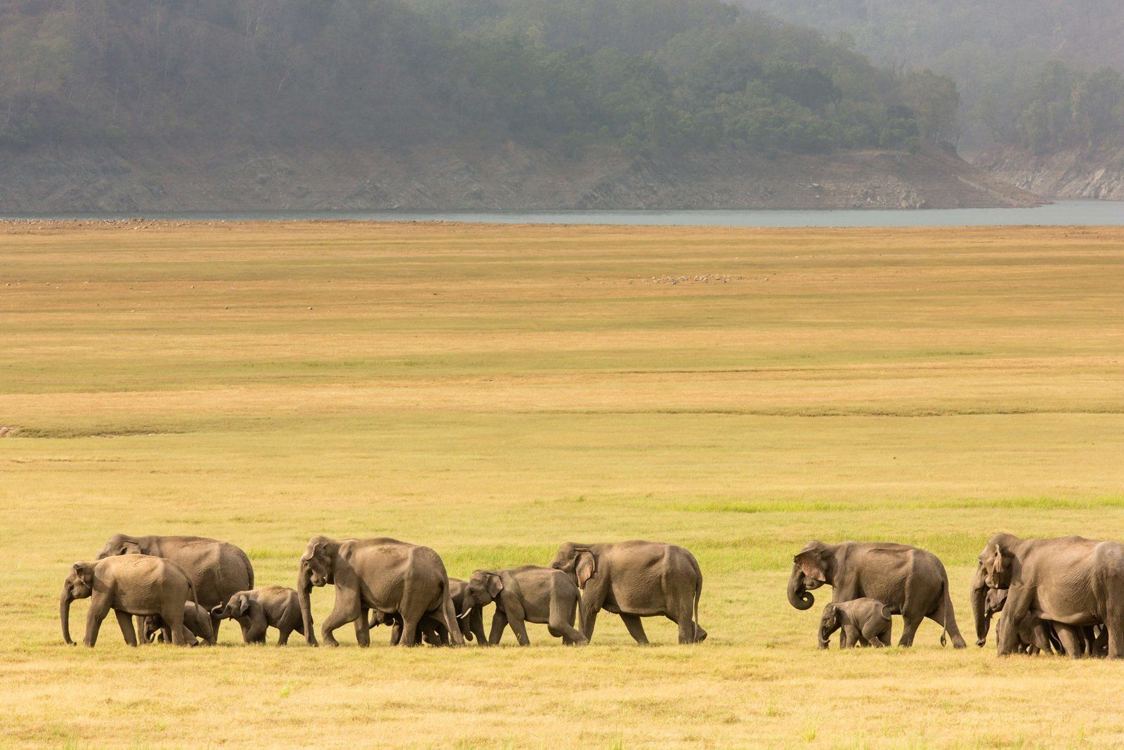 Wildlife Tour