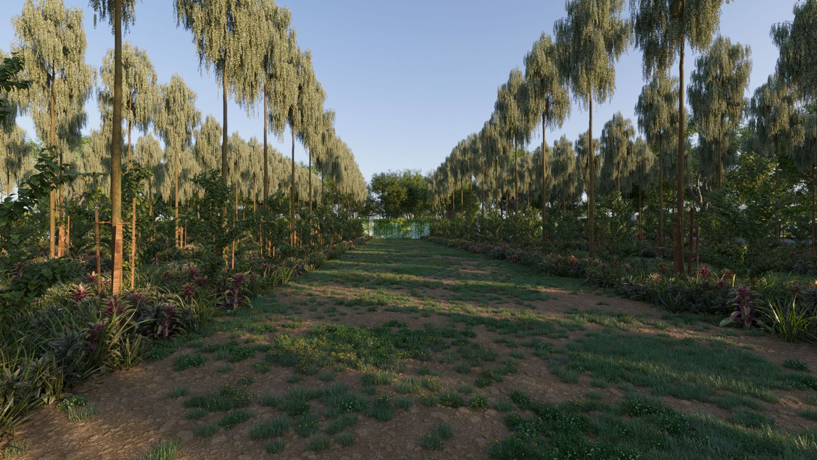 Spiritual Wellness Sanctuary