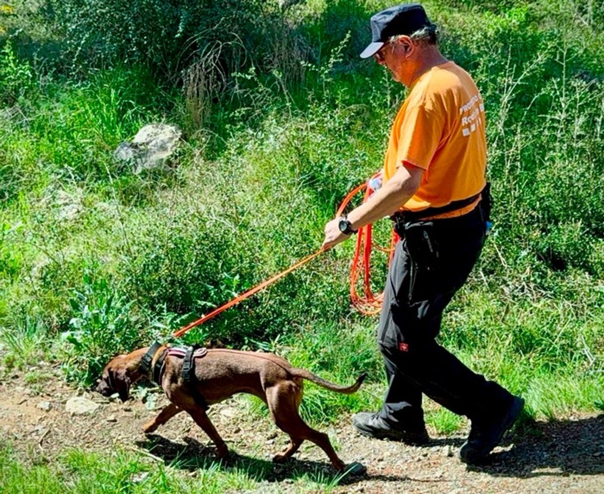 Unitat Canina de l'AVV de Protecció Civil de Roda de Berà