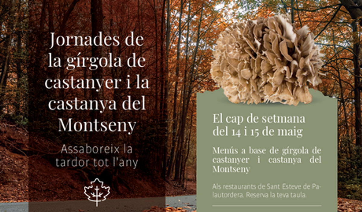https://www.vallesoriental.cat/actualitat/noticies/la-comarca-posa-en-valor-la-girgola-del-castanyer-i-la-castanya-del-montseny-.html
