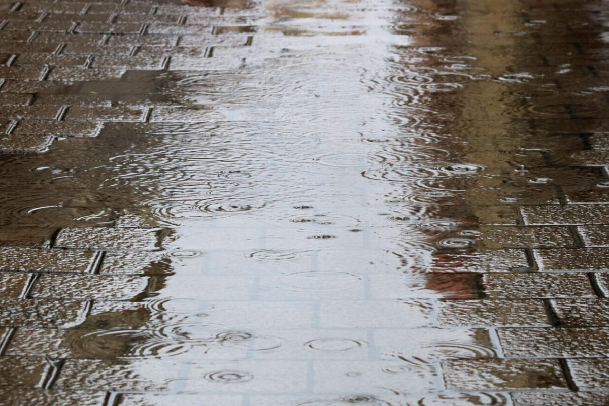 Alerta per pluja intensa, VilaWeb