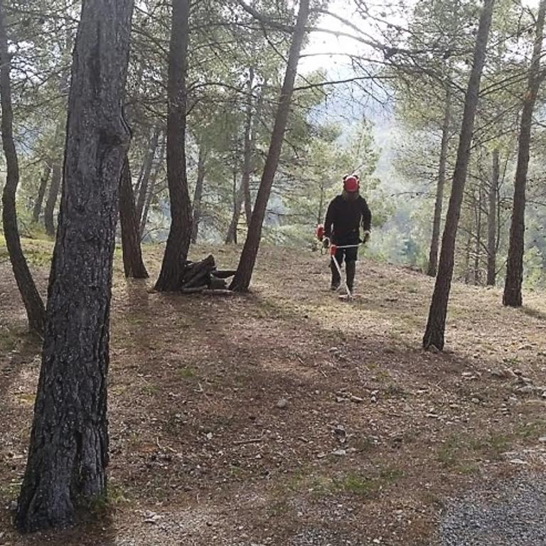 El Consell Comarcal de la Terra Alta presenta vuit ofertes de treball per al Programa Treball i Formació