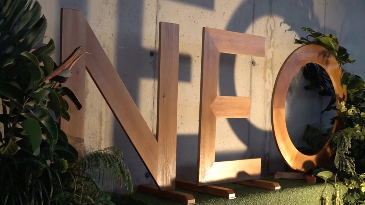 Neo Fest