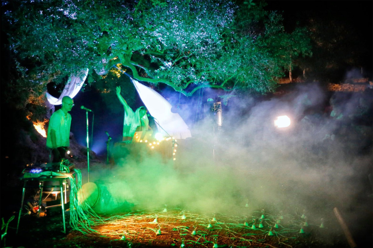 Espectacle entre oliveres, dins de la proposta musical del festival iber Tyrika d'Alcanar, l'any passat.
