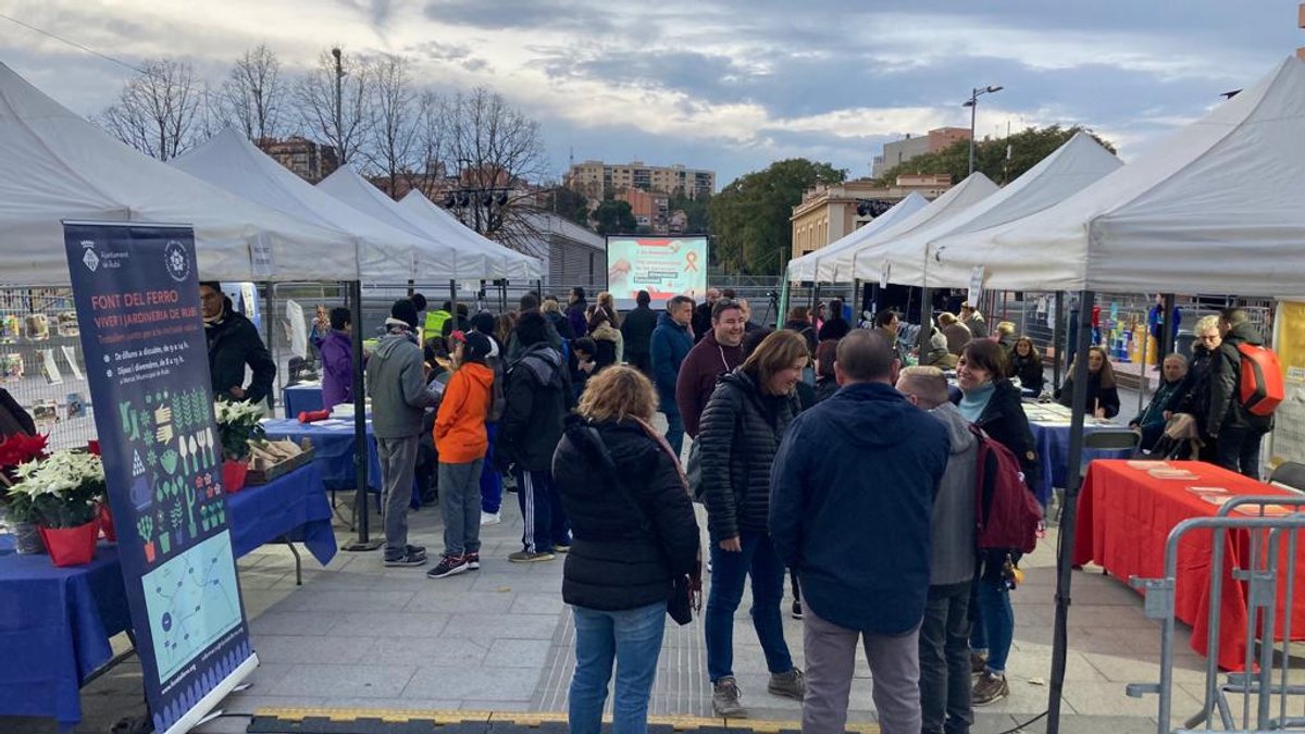 Imatge Festa Diversitat Funcional