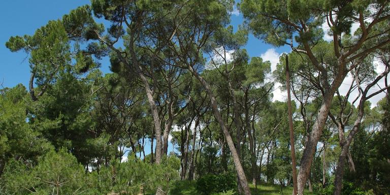 L’Ajuntament arranja el parc de Ca n’Oriol i el parc del Castell gràcies al Pla d’inversions financerament sostenible