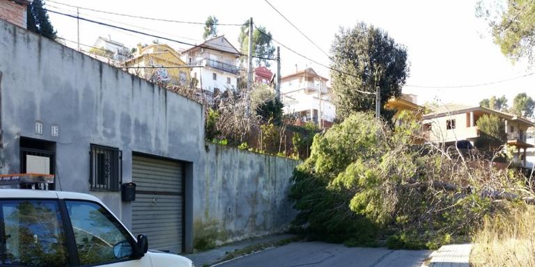 Rub\xed demanar\xe0 ajuts extraordinaris per fer front als efectes de la ventada