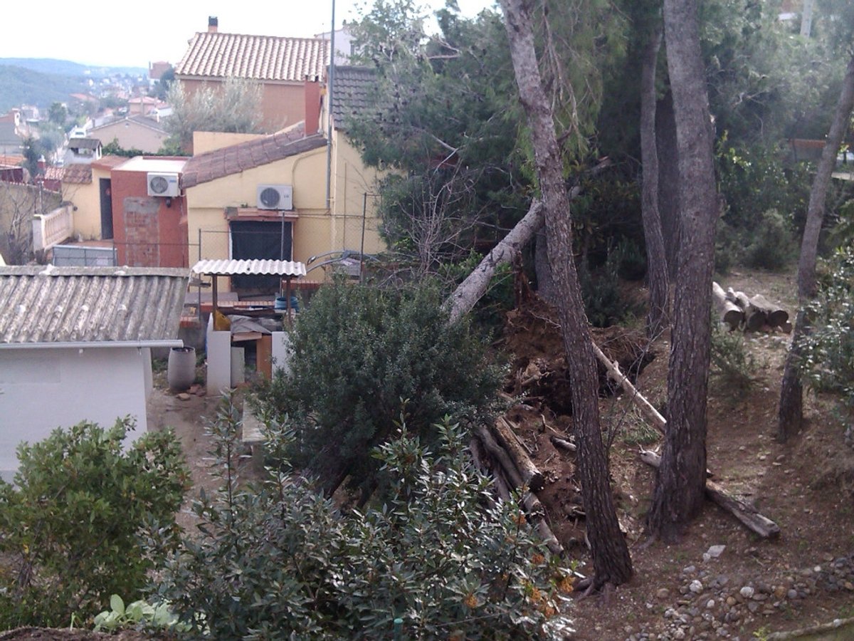 La caiguda d'arbres és el principal obstacle pel restabliment del servei