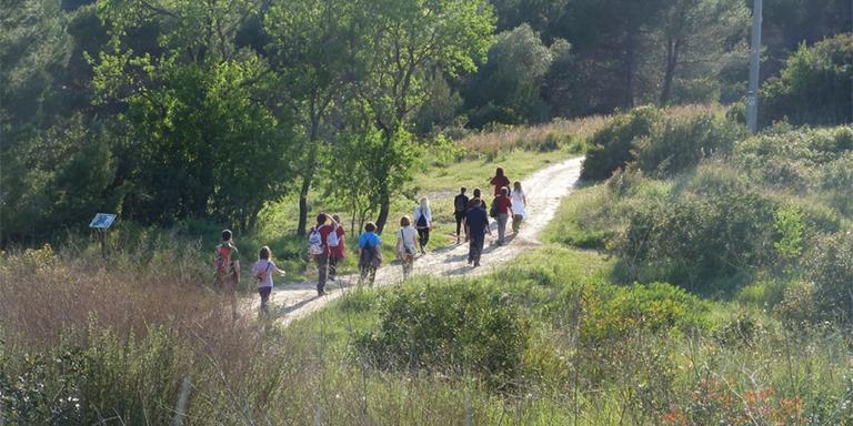 Obert el període d'inscripcions pel cicle de passejades de primavera